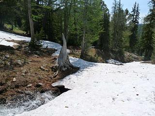 Snow bridge crossing the outlet stream to Cooney