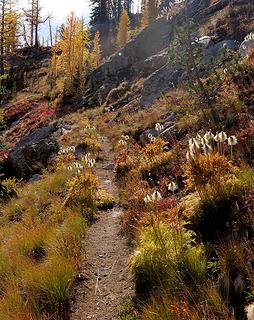 trail to Grouse Pass