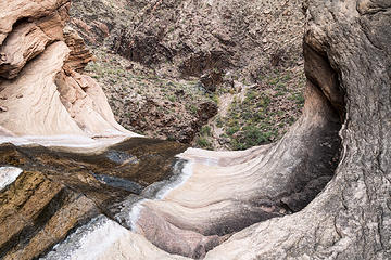 cedar spring outfall