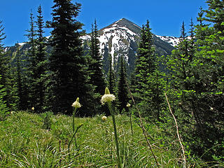 Bear Grass and Fremont lookout. 
Lk Eleanor trail to Grand Park MRNP 7/17/10