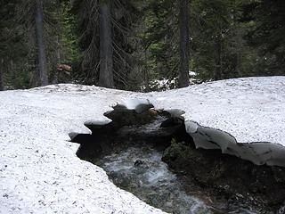 a multitude of bootprints went across this bridge