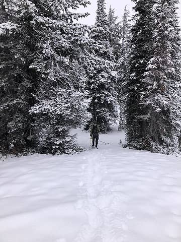 Didn't stay in the snowshoes for long.