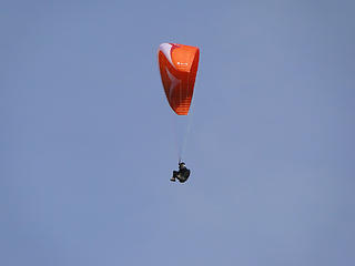 Para-glider over Poo Poo. He would land just after this but I wasn't paying attention.