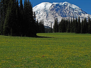 islands of trees on Grand Park. Find the paintbrush accent. 
Lk Eleanor trail to Grand Park MRNP 7/17/10