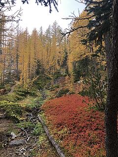 More color on the way to Fish Creek Pass