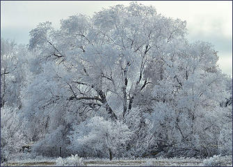 Frost in Utah