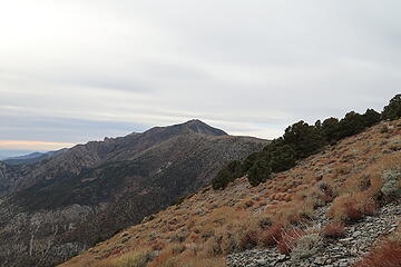 Telescope Peak