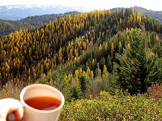 Summit Tea with Larches