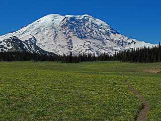 Long trail across Grand Park, heading for Rainier. 
Lk Eleanor trail to Grand Park MRNP 7/17/10