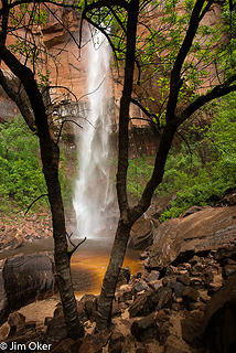 Upper Emerald Pool after downpour, Zion National Park, UT