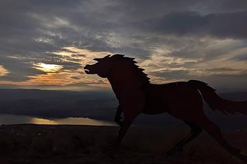 Wild Horses monument