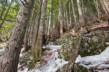 Before too long we got past the cliffs and emerged onto the summit ridge with a mild slope