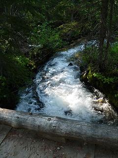 Foggy Dew Creek