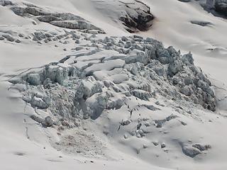 Tahoma glacier