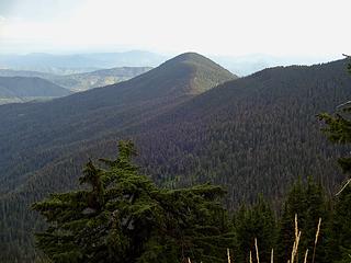 Another view of Pinchot Butte, 5994.' This is the highpoint of a 9000-acre pseudo protected area, The Pinchot Butte Roadless Area.