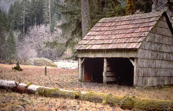 Horse barn at Elkhorn before being moved  Elwha River  December 1991