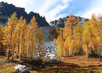 Larch in the Sawtooths