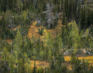 Oct_Alpine Lake Wilderness near Bean Pk