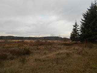 West Rocky Prairie Wildlife Area 111419 03