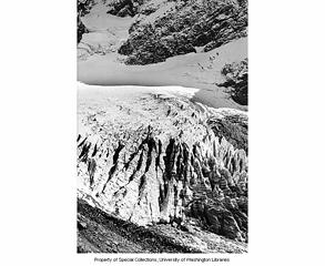 Lower Curtis Glacier 1951