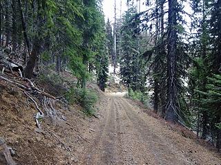 I walked the last two miles up Diamond Peak Rd to the trailhead due to some ice but much of the road was like this.