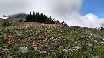 Paintbrush for days. This pic doesnt do it justice.