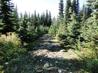 Road/trail to vista point. Very rocky.