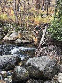 Crossing West Fork of Buttermilk Creek