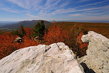 6- Strickler Knob