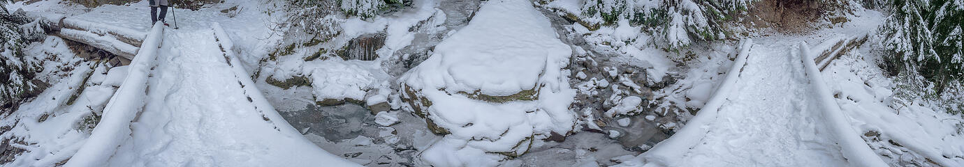 Along the Silver Creek trail . . .