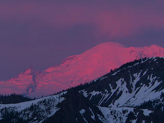 Mt. Rainier