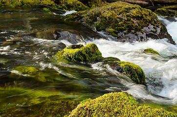 Big Quilcene River 3