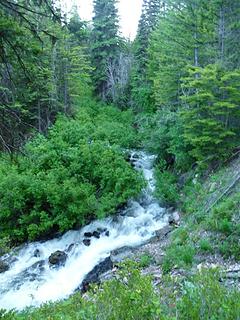 Foggy Dew Creek is running full