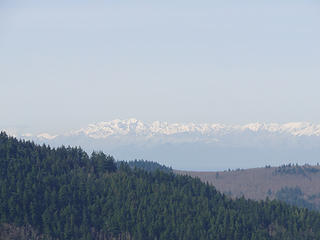 Olympic mountains from Poo Poo Point.