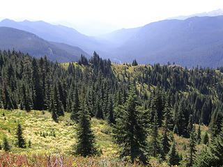 View coming down Shriner Peak trail.