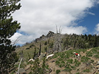 Old lookout site