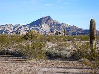 Cabeza Prieta Peak