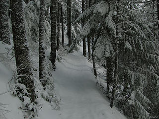 Snow Mt. Si trail.