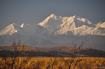 Alaska Range from Delta