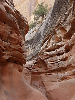 Middle narrows, Sheets Gulch, Capitol Reef NP