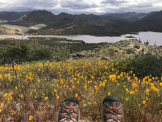 Bartlett Lake Arizona