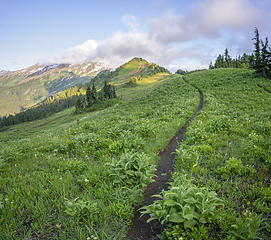 White Pass - Glacier Peak Wilderness