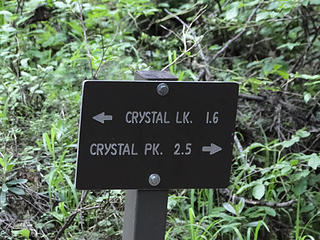Trail fork. Straight for Crystal Lakes, Right for Crystal Peak. Crystal Peak explorations first today.