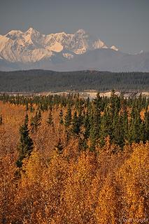 Mt. Deborah from Delta