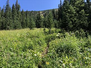 Route to Buckskin Lake, Slate Pass, Buckskin Ridge, Frosty Pass, PCT Loop, 8/12-8/19/20