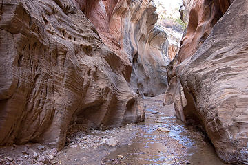 Willis Creek Canyon