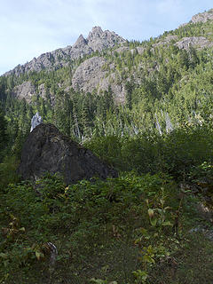 Ellinor from meadow in upper forest