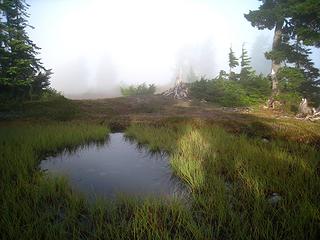 misty tarn