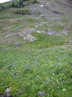 Can you spot the marmot?