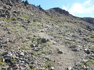 Looking up loose dirt/scree trail up Buckhorn.